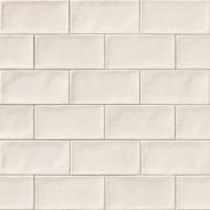 Плитка MAINZU Верона Айс 10x20